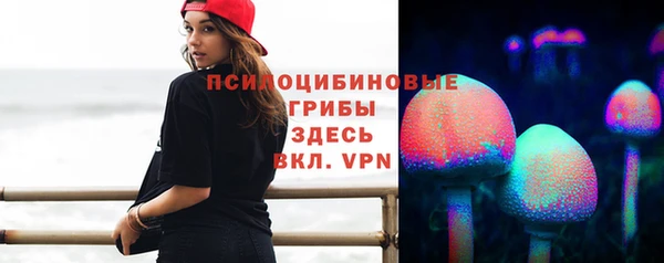 mdpv Дмитриев